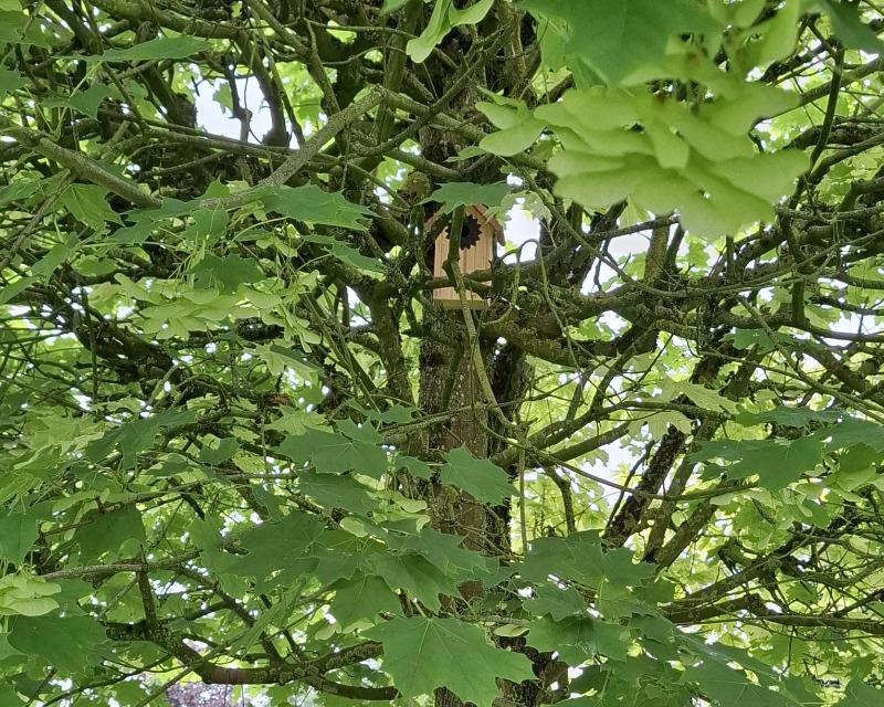 Accueil de la faune